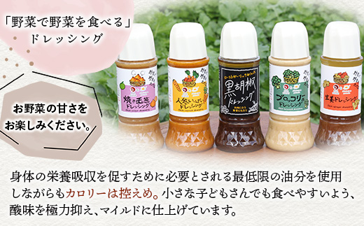 野菜で野菜を食べる ドレッシング 3本 Cセット ＜ブロッコリー/生姜/黒胡椒＞ サラダ や 肉料理 にも 詰め合わせ 熊本県 多良木町 調味料 家庭用 ギフト 024-0635