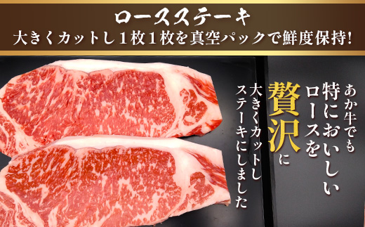 くまもとあか牛ステーキ・ハンバーグセット 《 ロースステーキ 400g ハンバーグ150g×5個》計1.15kg  熊本県 ブランド牛 肉 ヘルシー 赤身 牛肉 105-0512