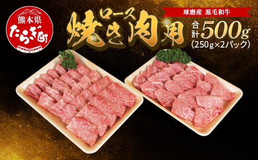 球磨産 黒毛和牛 ロース焼き肉用 500g（250g×2パック）スライス【 牛肉 ロース 和牛 国産 軟らかい 旨味たっぷり 焼き肉 キャンプ アウトドア BBQ JA 】011-0065