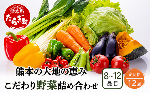 【定期便12回】熊本の大地の恵み 旬の こだわり野菜詰め合わせセット 8〜12品 （3〜4名様向け）12カ月配送 獲れたて 新鮮 野菜 セット 詰め合わせ 詰合せ 定期便 産地 直送 国産 季節 旬野菜 家族 ファミリー 多良木町 024-0812