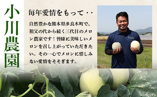 【2025年4月中旬発送開始】【先行予約】熊本県産 ホームランメロン 2玉 約2.5kg以上【 ご予約 メロン フルーツ 果物 熊本 多良木 】083-0699