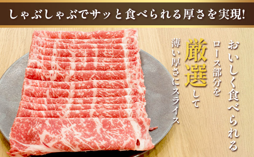 くまもとあか牛 ロースしゃぶしゃぶ用 徳用 500g×2パック 計1kg ロース しゃぶしゃぶ 和牛 牛肉  熊本県 ブランド牛 肉 ヘルシー 赤身 105-0521