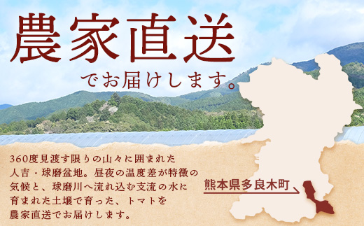 【産地直送】熊本県産 ミニトマト「アイコ (赤色)」約2.5kg 国産トマト アイコ とまと 甘い 熊本 多良木町 農園直送 新鮮 フルーツトマト フルーティ 020-0531