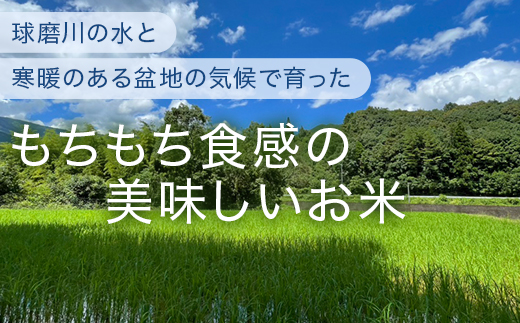 【令和6年 新米 】 米どころ 多良木町産 にこまる 5kg 新米 お米 精米 白米 ご飯 お米 うるち米 ふっくら もちもち 均ちゃん農園 多良木町 008-0670