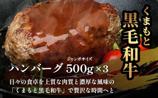 ビッグサイズ！くまもと 黒毛和牛 DREAMジャンボバーグ 500g×3パック 計1.5g 《 牛肉 100％ 国産 大きな ボリューム ハンバーグ お祝い パーティ 熊本 ブランド牛 黒毛 和牛 上質 はんばーぐ 惣菜 熊本県 》 113-0509