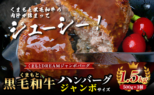 ビッグサイズ！くまもと 黒毛和牛 DREAMジャンボバーグ 500g×3パック 計1.5g 《 牛肉 100％ 国産 大きな ボリューム ハンバーグ お祝い パーティ 熊本 ブランド牛 黒毛 和牛 上質 はんばーぐ 惣菜 熊本県 》 113-0509