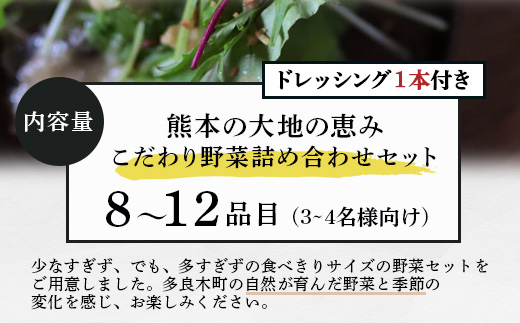 熊本の大地の恵み【 野菜で野菜を食べる 】旬のこだわり 野菜 ＆ドレッシング セット (3〜4名様向け) 野菜 獲れたて 8～12品 直送 旬 新鮮 セット 野菜ドレッシング 詰め合わせ 詰合せ 熊本県 多良木町 024-0813