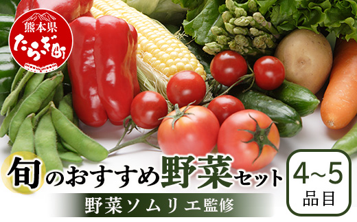 【数量限定】野菜ソムリエ 監修 旬の おすすめ 野菜 セット ４〜5品 (1〜2名様向け) 野菜 獲れたて 直送 旬 熊本県 多良木町 024-0801