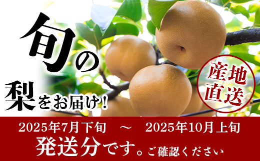 先行予約【2025年7月下旬〜発送分】東光寺 梨 4kg (8〜15玉) 1箱 完熟 梨 なし フルーツ 果物 夏 旬 幸水 豊水 秋月 新高 新興 シャリシャリ 025-0572