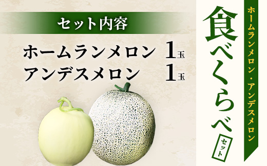 【2025年4月中旬発送開始】【先行予約】熊本県産 ホームランメロン アンデスメロン 食べ比べ 計2玉 約2.5kg以上 メロン フルーツ 果物 083-0625