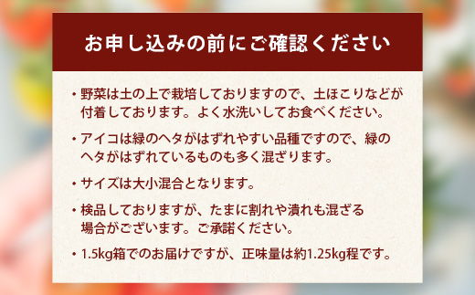 【産地直送】熊本県産 ミニトマト「アイコ (赤色)」約1.25kg 国産トマト アイコ とまと 甘い 熊本 多良木町 農園直送 新鮮 フルーツトマト フルーティ 020-0532