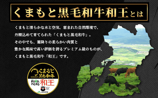 《R7.5・6・7月発送 限定 増量 》【極 和王】 くまもと黒毛和牛 和王 サーロインステーキ 330g×2 + 黒毛和牛ミンチ300g (計960g) ブランド牛 最高級グレード 極み 上質 旨味 サーロイン ステーキ 冷凍 熊本県 113-0531