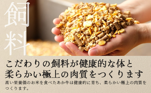 熊本県産 あか牛 ミックス ホルモン 1kg（500g×2パック） もつ鍋 焼肉 ホルモン 焼き BBQ 熊本県 あか牛 牛肉 046-0644