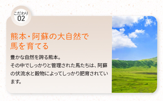 馬スジ 2kg ボイル済 馬肉 【 馬 スジ すじ 馬肉 ボイル 馬刺し すじ肉 馬すじ 加熱済 真空パック 真空 小分け 熊本県 熊本 多良木町 多良木 】