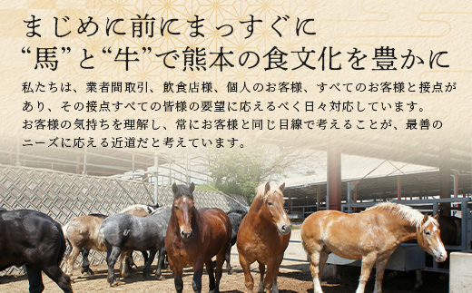 熊本特産 馬刺し 食べ比べ 堪能セット 合計310g 【 上赤身 ・ ユッケ ・ ネギトロ ・ 赤身 】ソムリエ セレクト 本場 熊本県 馬刺し 馬肉 肉 食べ比べ ヘルシー 赤身 くまもと 104-0005