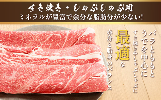 くまもとあか牛 詰合せBセット 《 切り落とし500g・すき焼きしゃぶしゃぶ用500g 》  計1kg  熊本県 ブランド牛 肉 ヘルシー 赤身 牛肉 105-0509