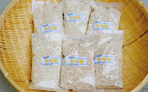 【 熊本県産 もち麦 】3kg(500g×6袋) 白米 と 炊くだけ！【 もちもち 食感 ぷちぷち  食物繊維 炊飯 健康 高栄養 ポリフェノール  熊本県 多良木町産 】065-0589