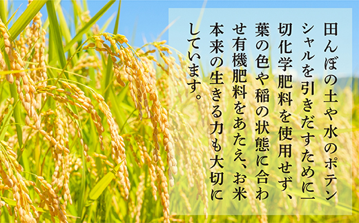 【令和6年産 新米 】先行予約 受賞米 こめたらぎ にこまる 精米 30kg 新米 グランプリ受賞 米 お米 農家 自然 豊か 熊本県 米どころ 多良木町 044-0509-a