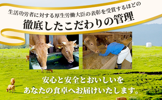 くまもとあか牛 詰合せBセット 《 切り落とし500g・すき焼きしゃぶしゃぶ用500g 》  計1kg  熊本県 ブランド牛 肉 ヘルシー 赤身 牛肉 105-0509