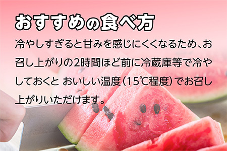 【2025年5月上旬～発送 先行予約】小玉スイカ ひとりじめ (2玉) 令和7年 夏 スイカ 食べきりサイズ 西瓜 フルーツ 果物 旬の味覚 すいか 甘い 産地直送 008-0663