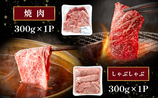 A4・A5 くまもと黒毛和牛 ロース セット 計600g ( すき焼き / 焼肉 各300g ) 本場 熊本県 ブランド 牛 黒毛 和牛 厳選 A4以上 肉 上質 熊本県 113-0506