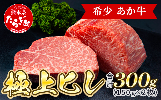 あか牛 極上ヒレ ステーキ セット 計300g ＜ヒレ150g×2枚、あか牛のたれ200ml＞ あか牛 牛肉 肉 熊本県産 多良木町 ご馳走 お祝い お取り寄せ グルメ 046-0167