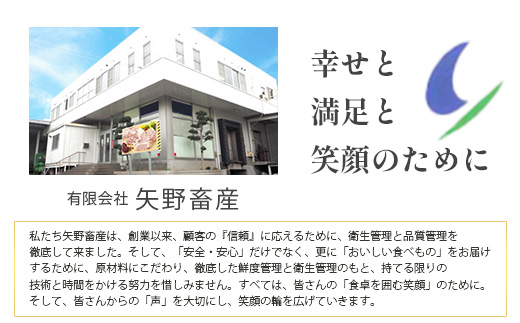 くまもとあか牛切り落とし徳用 500g×2パック 計1kg 熊本県 ブランド牛 肉 ヘルシー 赤身 牛肉 大容量 熊本県 ブランド あかうし 牛肉 用途多彩 きりおとし 105-0516