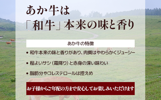 【定期便3回】熊本あか牛 白ホルモン 計1.5Kg (250g×2)×3回 冷凍真空パック【 熊本 熊本県産 あか牛 冷凍 真空 もつ鍋 ホルモン 焼き肉 】 041-0139