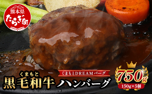 くまもと黒毛和牛 DREAMバーグ 150g×5パック 計750g 牛肉 100％ 国産 ハンバーグ 熊本 ブランド牛 黒毛 和牛 上質 はんばーぐ 惣菜 熊本県 113-0508