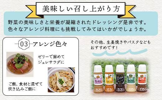 野菜で野菜を食べる ドレッシング 2本 Eセット ＜ 人参 / 黒胡椒 ＞計590ml サラダ や 肉料理 にも 詰め合わせ 熊本県 多良木町 調味料 家庭用 ギフト 024-0670