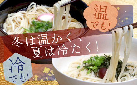 ざるうどん 1袋 ・ 乾麺 そば １袋 【計2袋(計4人前)】 うどん そば 蕎麦 乾麺 涼 麺 冷やし 夏 食欲増進 さっぱり 温 あったか 便利 備蓄 保存食 常温保存 お昼ご飯 昼食 夕食 夜食 076-0477