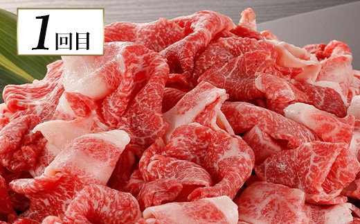 【定期便3回】熊本代表 お肉 【 くまもとあか牛・馬肉・くまもと黒毛和牛 】 お楽しみ 定期便 < あか牛切り落とし約800g・馬肉バラエティ約540g・黒毛和牛すき焼き用400g > 【 毎月届く 3ヶ月 黒毛和牛 牛肉 馬刺し ハンバーグ 熊本県 多良木町 定期配送 】 092-0010