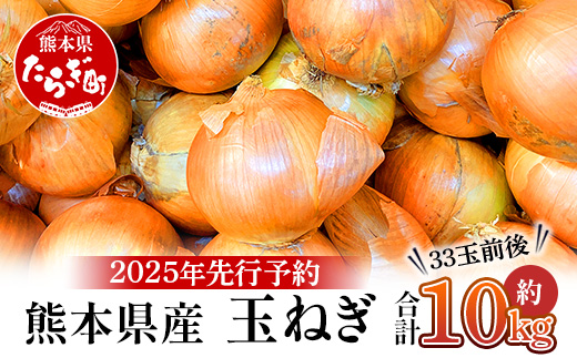 【先行予約】熊本県産 玉ねぎ 10kg (33玉前後) ≪2025年4月下旬から順次発送≫ 玉葱 野菜 数量限定 JAS たまねぎ オニオン 甘い ハンバーグ 肉じゃが 065-0637 大森 重臣