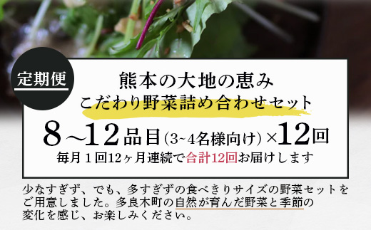 【定期便12回】熊本の大地の恵み 旬の こだわり野菜詰め合わせセット 8〜12品 （3〜4名様向け）12カ月配送 獲れたて 新鮮 野菜 セット 詰め合わせ 詰合せ 定期便 産地 直送 国産 季節 旬野菜 家族 ファミリー 多良木町 024-0812