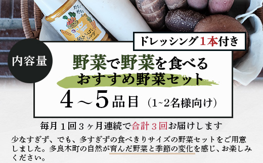 【定期便 3回】野菜ソムリエ 監修【 野菜で野菜を食べる 】旬の おすすめ 野菜＆ドレッシング 定期便 (1〜2名様向け) 野菜 獲れたて 直送 旬 新鮮 セット 詰め合わせ 詰合せ 定期便 産地 直送 国産 旬 野菜 ひとり暮らし 夫婦 熊本県 多良木町 ドレッシング 024-0806