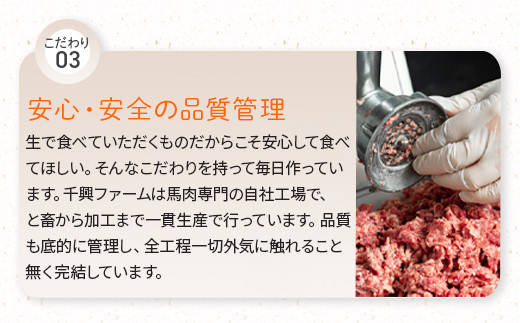 【ハンバーグ】 FN タテガミ 入り 馬肉 ハンバーグ デミソース 計1.6kg (200g×8個セット) 個包装 冷凍 お手軽 おかず 031-0203