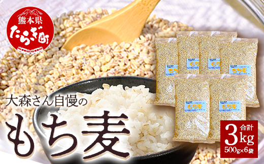 【 熊本県産 もち麦 】3kg(500g×6袋) 白米 と 炊くだけ！【 もちもち 食感 ぷちぷち  食物繊維 炊飯 健康 高栄養 ポリフェノール  熊本県 多良木町産 】065-0589