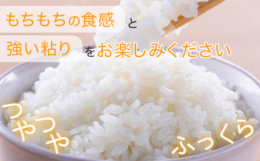 【令和6年 新米 】 米どころ 多良木町産 にこまる 5kg 新米 お米 精米 白米 ご飯 お米 うるち米 ふっくら もちもち 均ちゃん農園 多良木町 008-0670