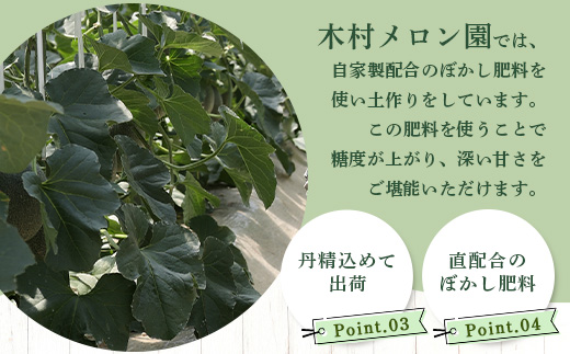 【 2025年4月中旬～発送開始 】 先行予約 グラバーメロン 3玉 【 熊本県 多良木町産 上品な味 高糖度 甘い メロン ぐらばー めろん 熊本メロン 】 013-0557