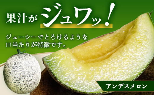 【2025年4月中旬発送開始】【先行予約】熊本県産 アンデスメロン 2玉 約2.5kg以上 【 ご予約 先行 メロン フルーツ 果物 熊本 多良木 たらぎ 】083-0697