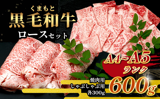 A4・A5 くまもと黒毛和牛 ロース セット 計600g ( すき焼き / 焼肉 各300g ) 本場 熊本県 ブランド 牛 黒毛 和牛 厳選 A4以上 肉 上質 熊本県 113-0506