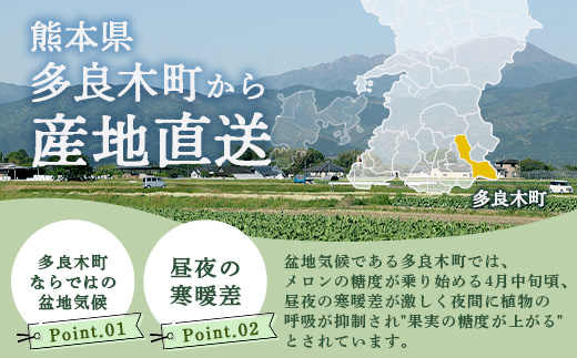 【 2025年4月中旬～発送開始 】 先行予約 グラバーメロン 3玉 【 熊本県 多良木町産 上品な味 高糖度 甘い メロン ぐらばー めろん 熊本メロン 】 013-0557