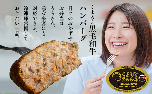 ビッグサイズ！くまもと 黒毛和牛 DREAMジャンボバーグ 500g×3パック 計1.5g 《 牛肉 100％ 国産 大きな ボリューム ハンバーグ お祝い パーティ 熊本 ブランド牛 黒毛 和牛 上質 はんばーぐ 惣菜 熊本県 》 113-0509