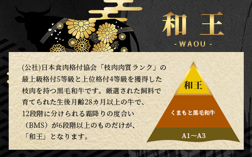 《R7.5・6・7月発送 限定 増量 》【極 和王】 くまもと黒毛和牛 和王 サーロインステーキ 330g×2 + 黒毛和牛ミンチ300g (計960g) ブランド牛 最高級グレード 極み 上質 旨味 サーロイン ステーキ 冷凍 熊本県 113-0531