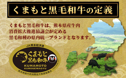 くまもと黒毛和牛 赤身 スライス 合計 900g (300g×3) 《 黒毛 和牛 赤身 モモ ウデ スライス すき焼き 霜降り ヘルシー 赤み ブランド牛 上質 常備 冷凍 熊本県 》 113-0511