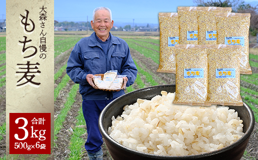 【 熊本県産 もち麦 】3kg(500g×6袋) 白米 と 炊くだけ！【 もちもち 食感 ぷちぷち  食物繊維 炊飯 健康 高栄養 ポリフェノール  熊本県 多良木町産 】065-0589