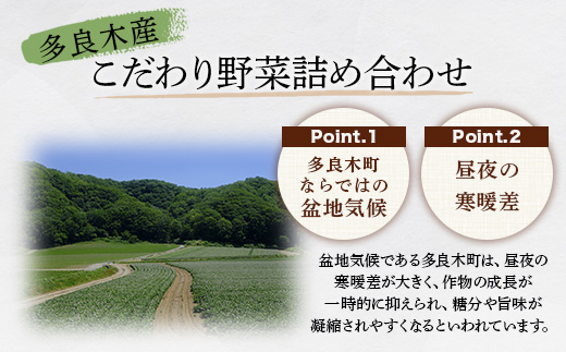 熊本の大地の恵み 旬の こだわり野菜詰め合わせセット 8〜12品 （3〜4名様向け）野菜 獲れたて 新鮮 野菜 セット 詰め合わせ 詰合せ 産地 直送 国産 季節 野菜 家族 ファミリー 多良木町 024-0809