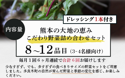 【定期便6回】熊本の大地の恵み≪ 野菜で野菜を食べる ≫ 旬のこだわり 野菜 ＆ドレッシング セット (3〜4名様向け) 野菜 獲れたて 8～12品 直送 旬 新鮮 定期便 野菜ドレッシング 詰め合わせ 詰合せ 熊本県 多良木町 024-0815