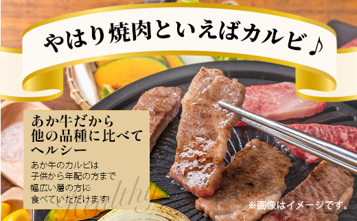 くまもとあか牛 カルビ焼肉用 徳用 500g×2パック 計1kg あか牛 カルビ 焼き肉 焼肉 牛肉 ブランド牛 ヘルシー 健康 105-0517