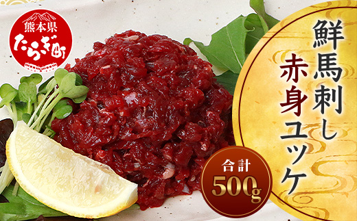 鮮馬刺し赤身ユッケ10個セット 約500g ＜馬肉 約50g×10パック＞ ユッケのタレ付き 031-0496